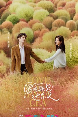 沧州网站优化推广外包